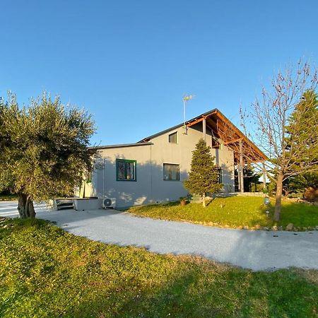 Olive Grove Guest House Anavyssos Exterior foto