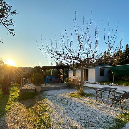 Olive Grove Guest House Anavyssos Exterior foto