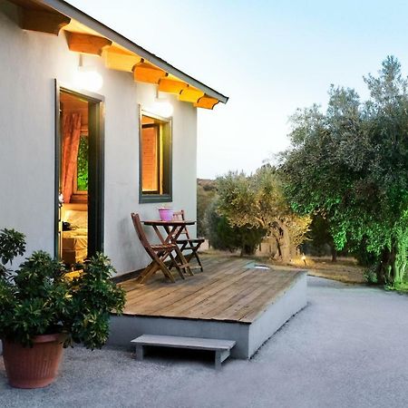 Olive Grove Guest House Anavyssos Exterior foto