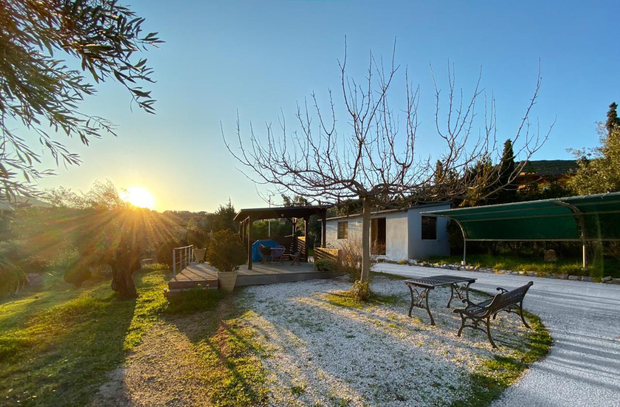 Olive Grove Guest House Anavyssos Exterior foto