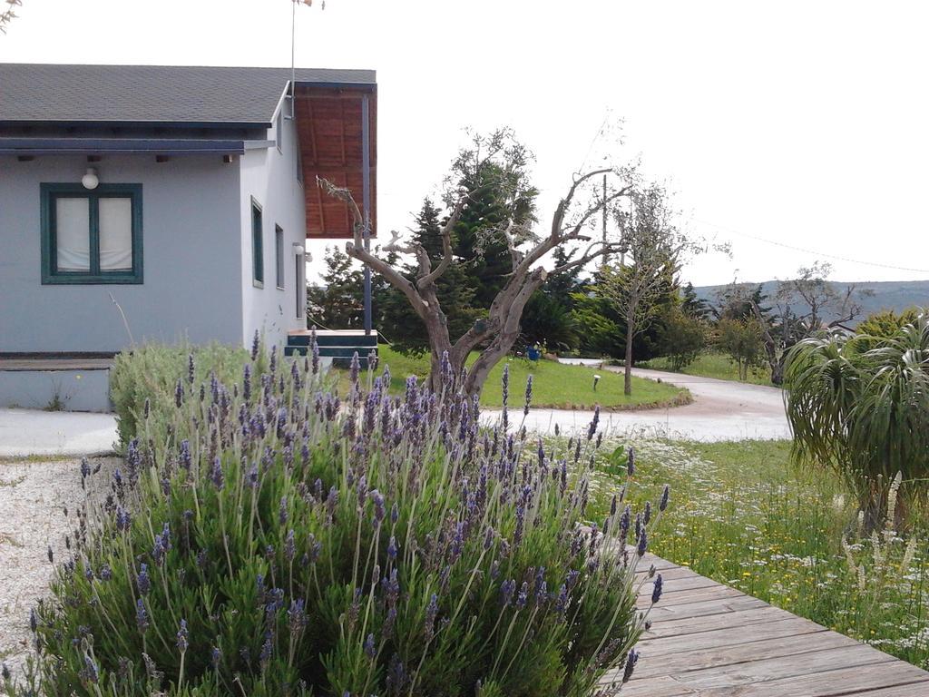 Olive Grove Guest House Anavyssos Exterior foto