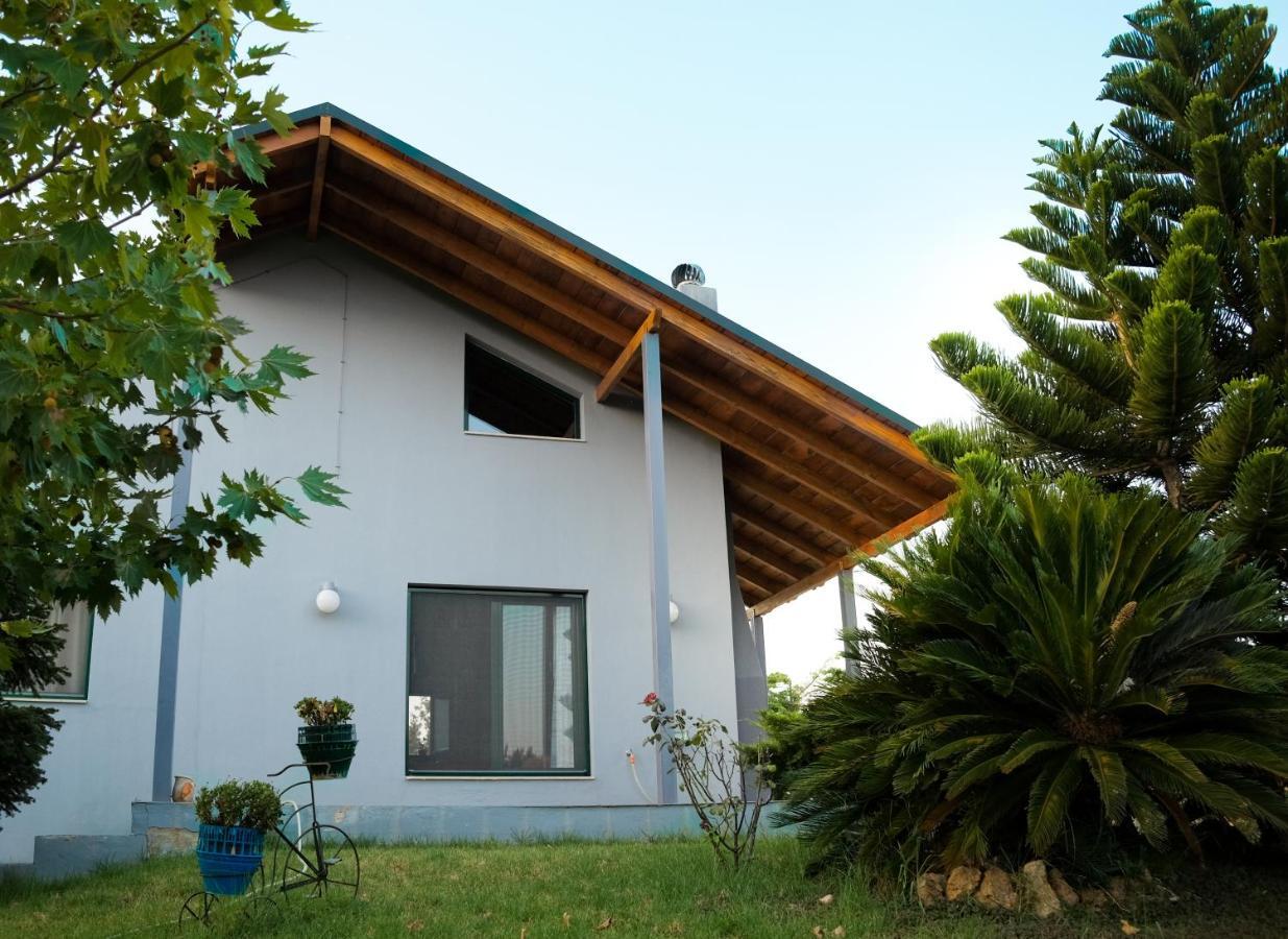 Olive Grove Guest House Anavyssos Exterior foto